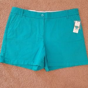 Teal shorts